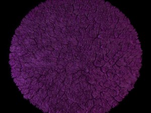 round rug 3D Model