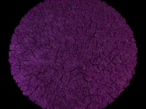 round rug 3D Model