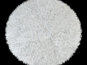 round rug Model 3D