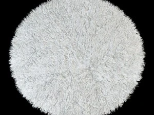 round rug 3D Model