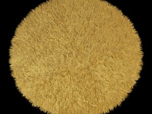 round rug Model 3D