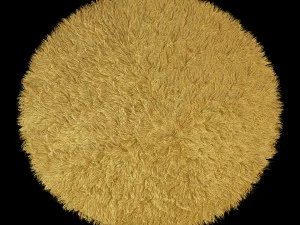 round rug 3D Model