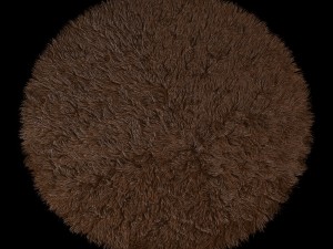 round rug Model 3D