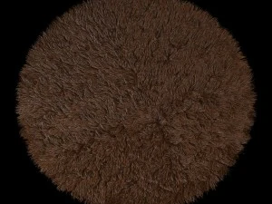 round rug 3D Model