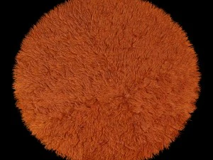 round rug 3D Model
