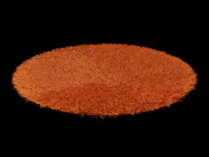 round rug Model 3D