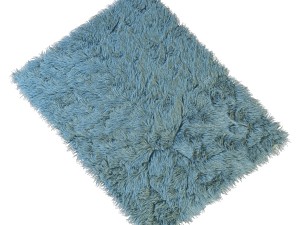 carpet with long pile 3D 模型