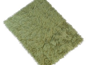 carpet with long pile 3D Model