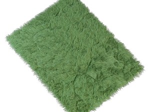carpet with long pile 3D Model