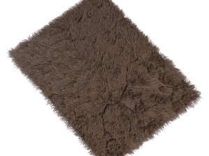 carpet with long pile 3D Model