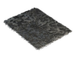 carpet with long pile 3D Model