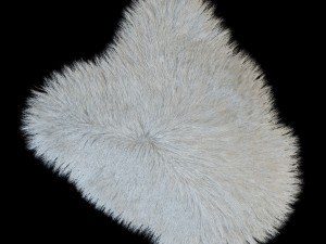 skin longhair 3D Model