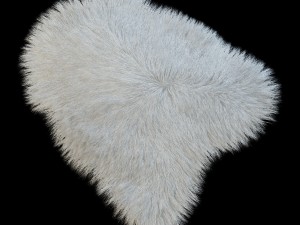 skin longhair 3D Модель