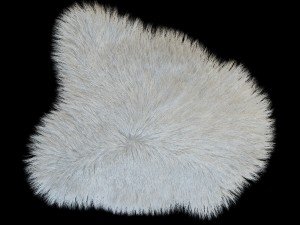 skin longhair 3D Модель