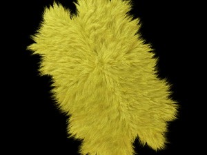 skin longhair 3D Модель