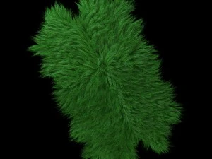 skin longhair 3D Model