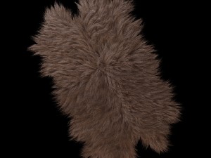 skin longhair 3D Модель