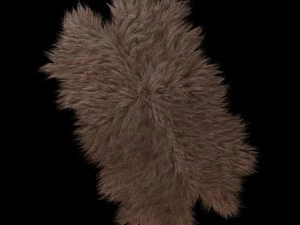 skin longhair 3D Model
