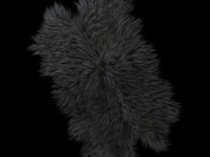 skin longhair 3D Модель