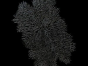 skin longhair 3D Model