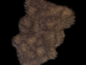 skin sheepskin 3D Model