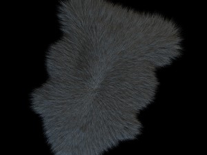skin sheepskin 3D 모델