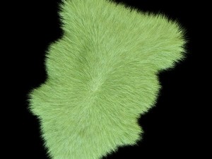 skin sheepskin 3D 모델