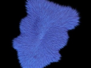 skin sheepskin 3D 모델