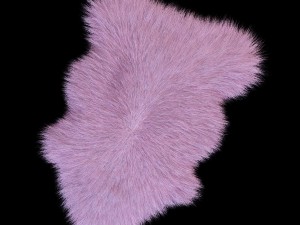 skin sheepskin 3D 모델