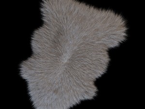 skin sheepskin 3D 모델