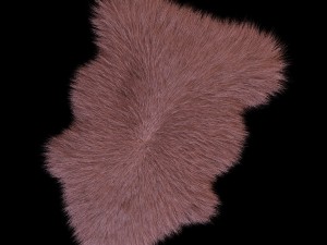 skin sheepskin 3D 모델