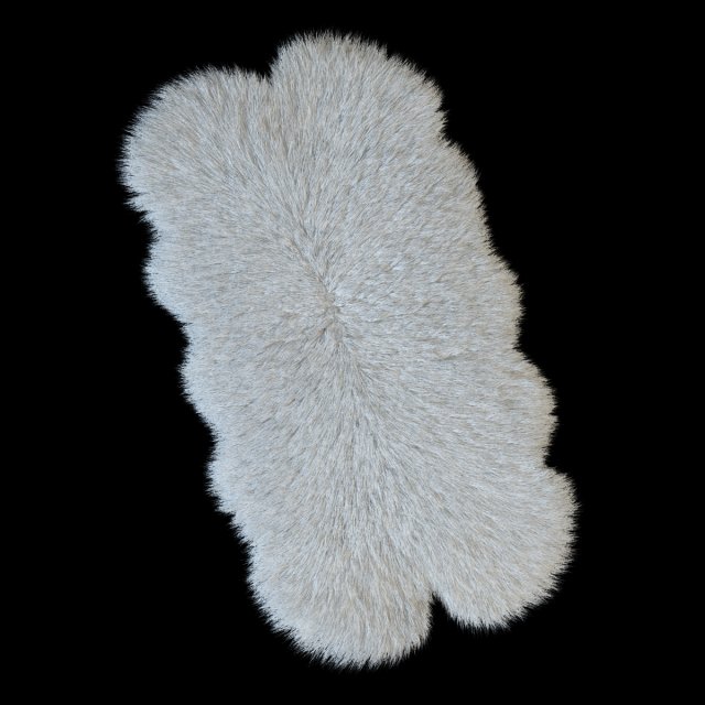 skin sheepskin bianco 4y 3D Model .c4d .max .obj .3ds .fbx .stl .blend 