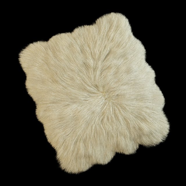 skin sheepskin 3D Модель .c4d .max .obj .3ds .fbx .stl .blend 
