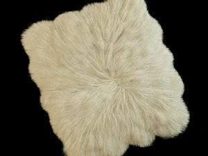 त्वचा भेड़ की खाल 3D मॉडल