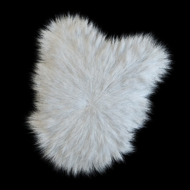 sheep skin longhair 3D 模型 .c4d .max .obj .3ds .fbx .stl .blend 