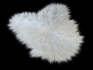 sheep skin longhair 3D 模型