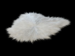 sheep skin longhair 3D 模型