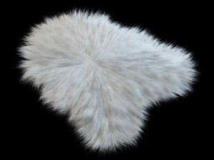 sheep skin longhair 3D 模型