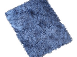 carpet 3D Model