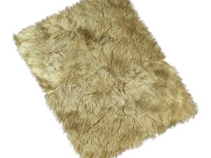 carpet Modelo 3D