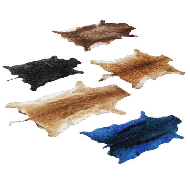 skins of wild animals 3D Модель .c4d .max .obj .3ds .fbx .stl .blend 