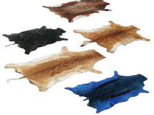 skins of wild animals 3D 모델