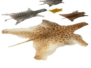 skins of wild animals 3D Модель