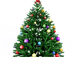 christmas tree 3Dモデル