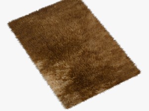 carpet brown Modelo 3D