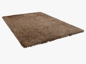 carpet rhapsody 3D Model