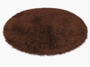carpet snow h169-brown round Model 3D