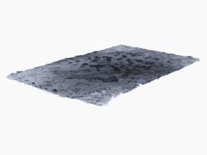 fuleri carpet Modèle 3D