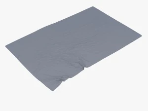 fuleri carpet 3D Model