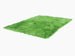 fuleri green carpet Model 3D